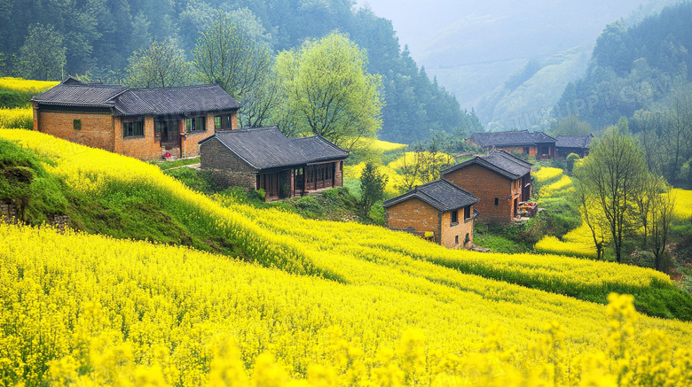 乡下菜地农村美丽乡村图片