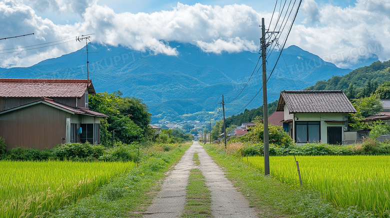 乡下小路农村美丽乡村图片