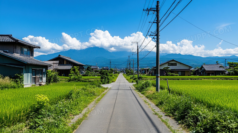 乡下小路农村美丽乡村图片