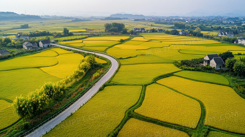 乡下油菜花农村美丽乡村图片