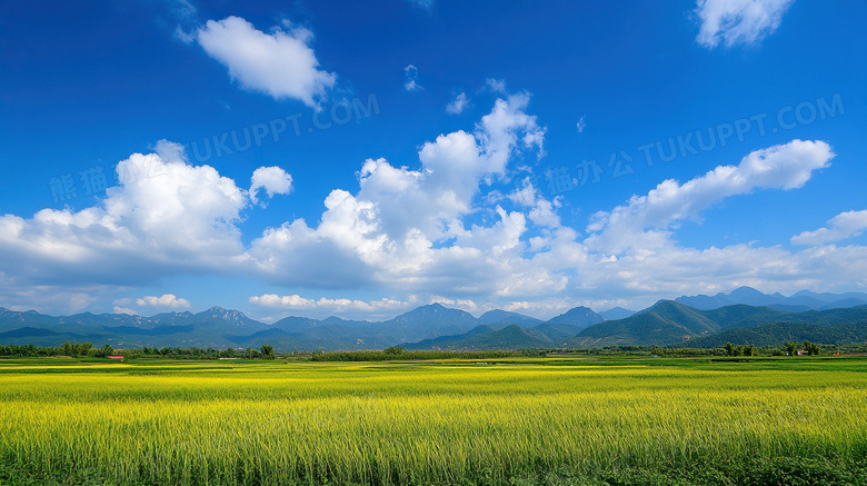 农村农田风景乡下图片