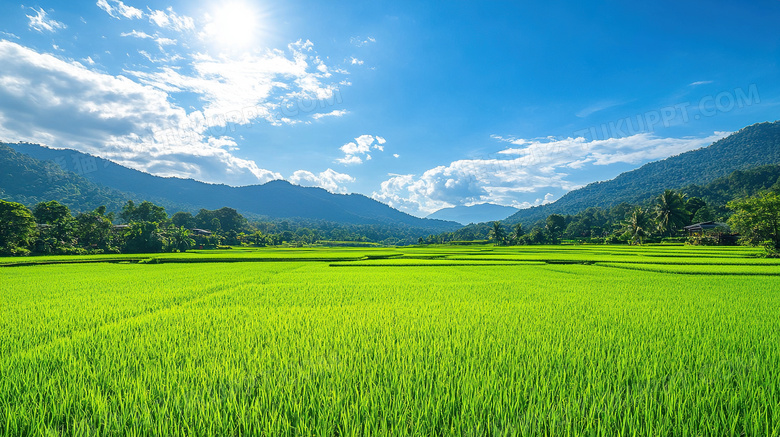 农村田地风景乡下图片