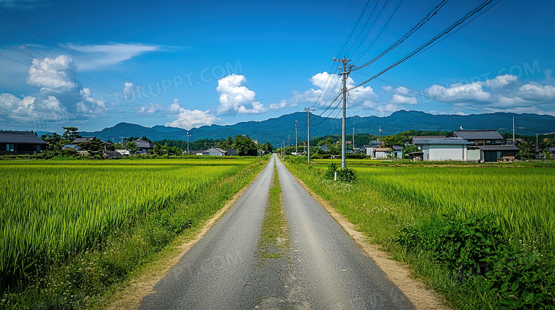 农村小路风景乡下图片