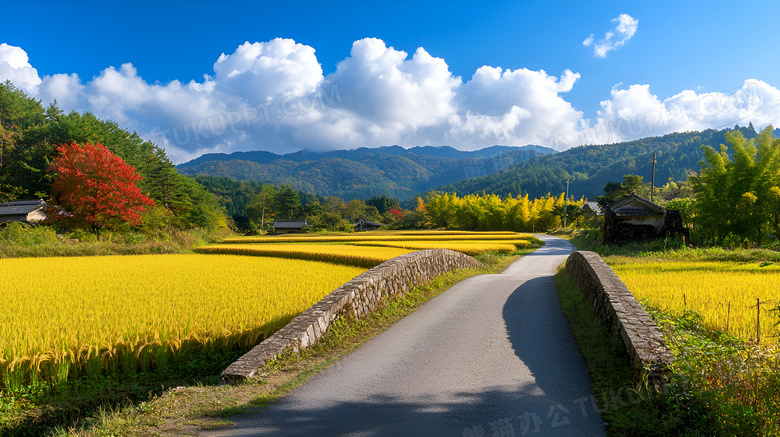 秋天乡村小路场景图片