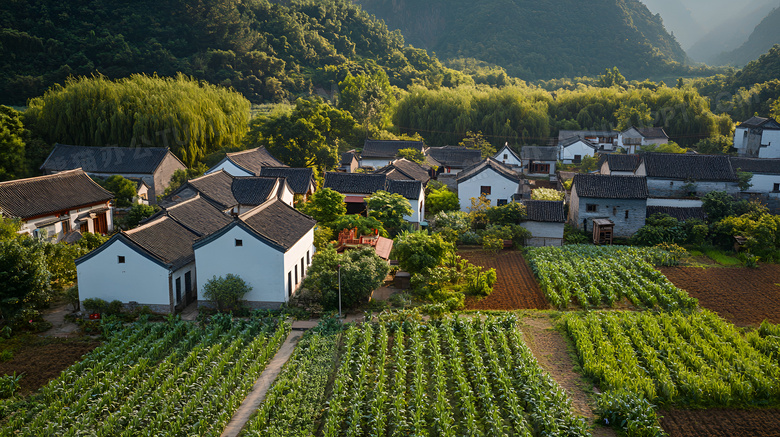 乡村房子鸟瞰图图片