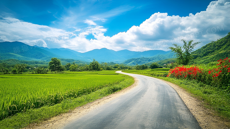 夏天乡村小路场景图片