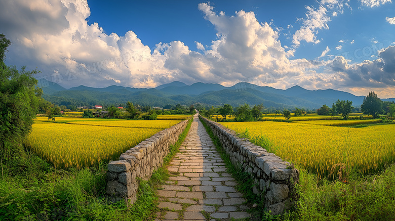 夏天乡村道路图片