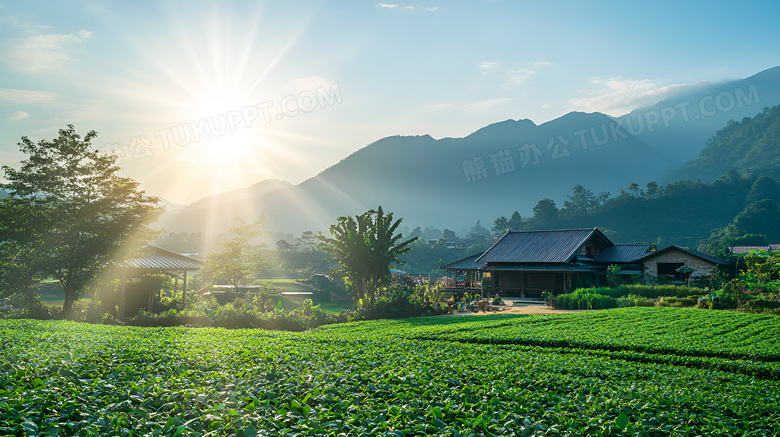 春天乡村房子图片