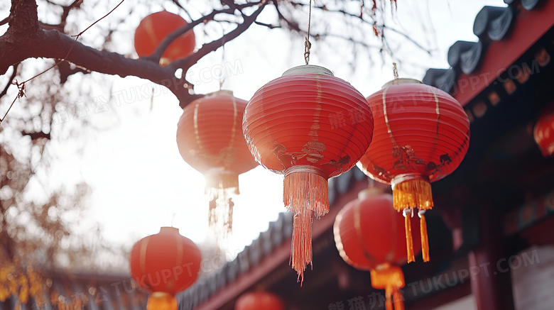 白天挂在枝头的几个灯笼图片