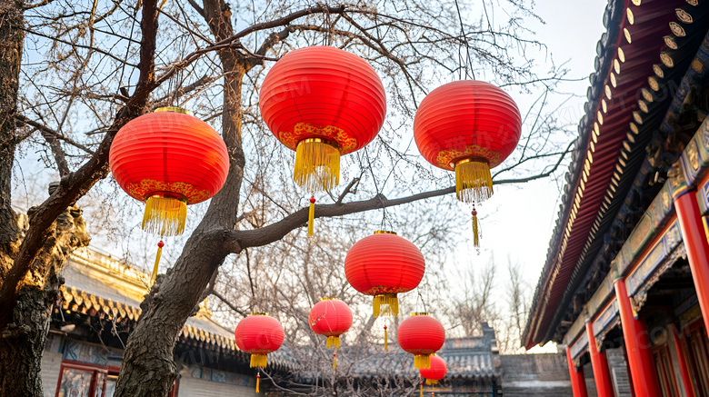 白天挂在枝头的几个灯笼图片