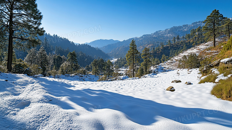 冬天积雪雪景风景图片