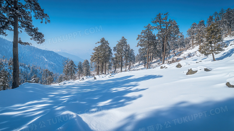 冬天积雪雪景风景图片