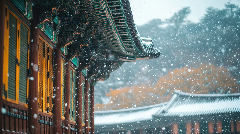 冬季冬天雪天户外雪景下雪天图片