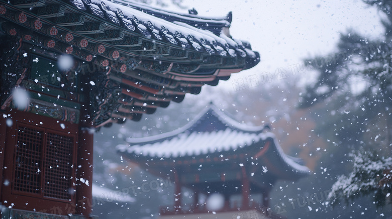 冬季冬天雪天户外雪景下雪天图片
