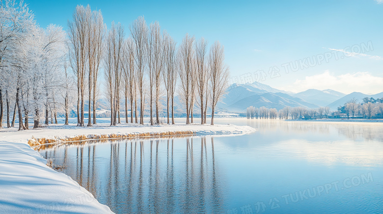 冬天湖泊白杨树雪景图片