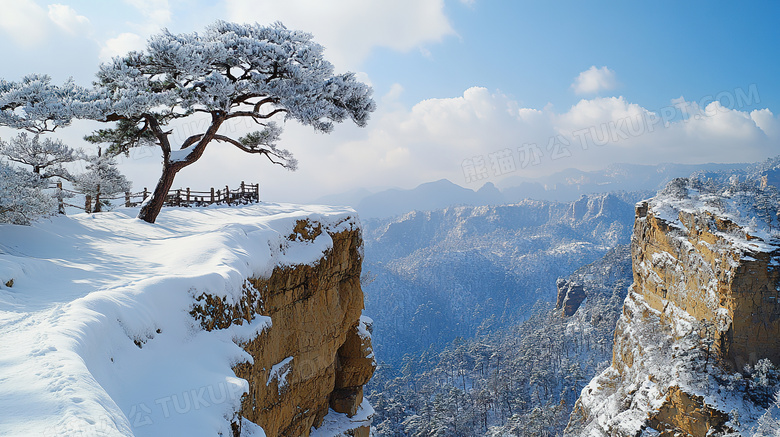 冬天高山松树雪景图片