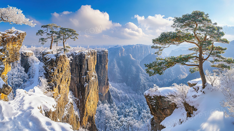 冬天高山松树雪景图片