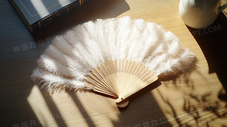 中国传统古典羽扇图片