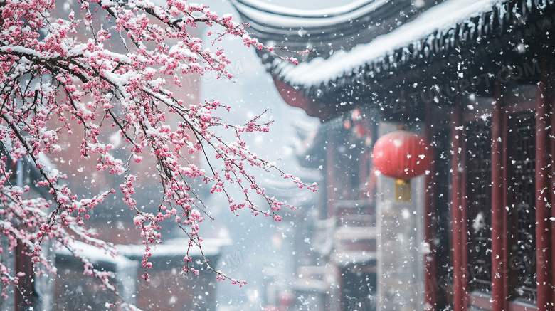 雪中的梅花与古建筑美景图片