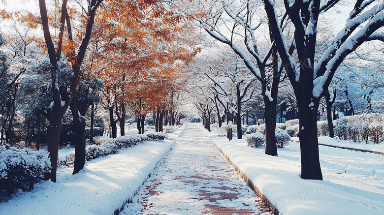 下雪的风景自然风景图片
