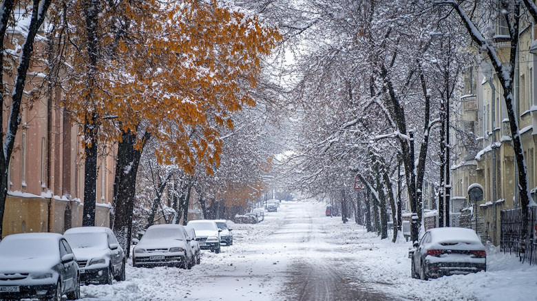 城市的下雪天图片