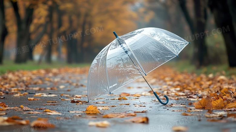 一把透明雨伞放在地上图片