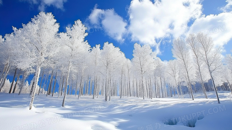 冬季雪景冰雪风光高山湖泊雪景图片