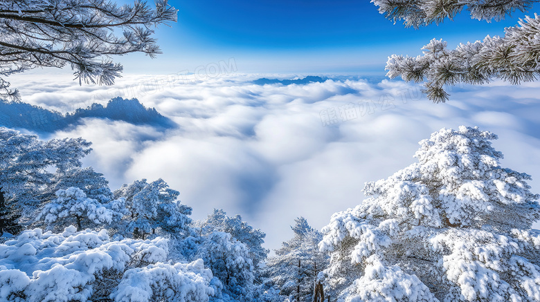 冬季旅游胜地黄山景区云海图片