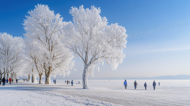 冬季旅游胜地吉林雾凇岛雪景景观图片