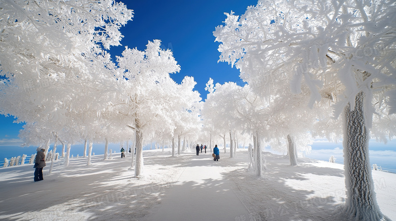 冬季旅游胜地吉林雾凇岛雪景景观图片