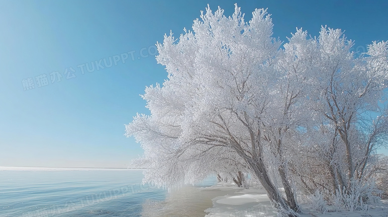 冬季旅游胜地吉林雾凇岛雪景景观图片