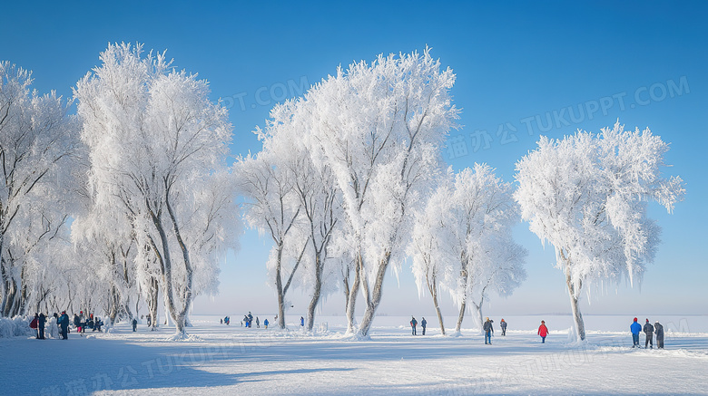 冬季旅游胜地吉林雾凇岛雪景景观图片