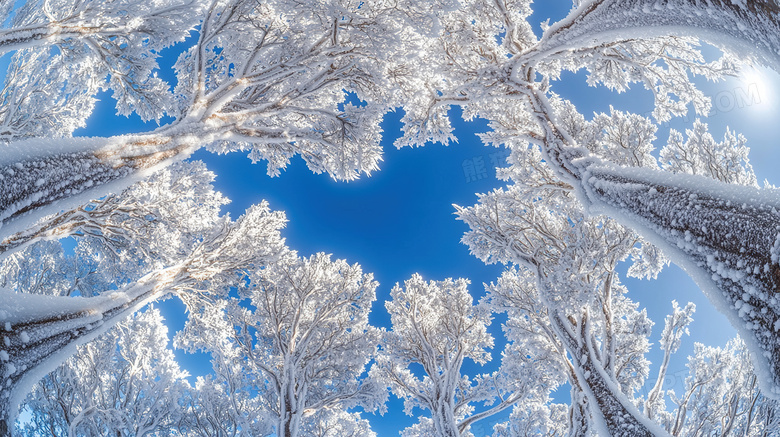 冬季旅游胜地吉林雾凇岛雪景景观图片