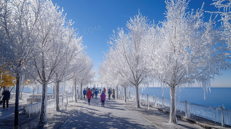 冬季旅游胜地吉林雾凇岛雪景景观图片