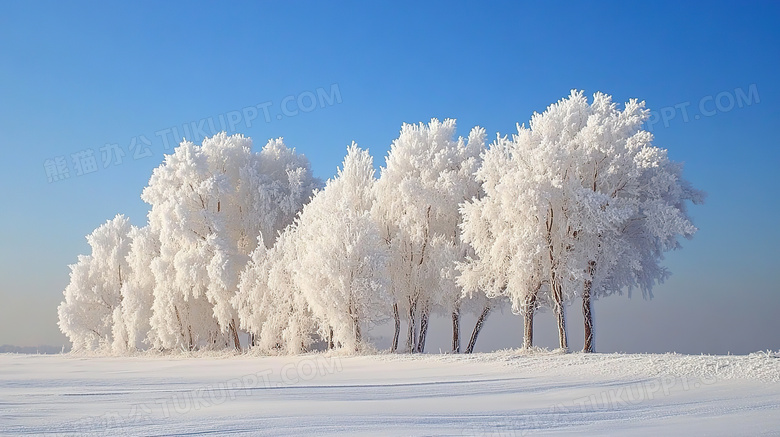 冬季旅游胜地吉林雾凇岛雪景景观图片