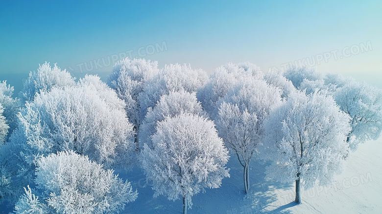 冬季旅游胜地吉林雾凇岛雪景景观图片