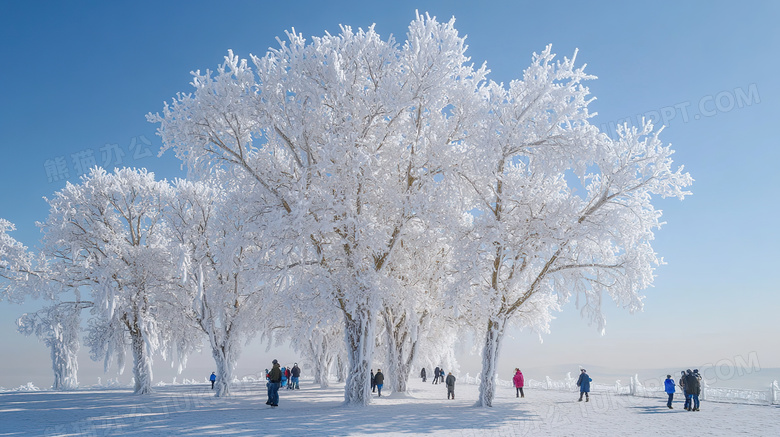 冬季旅游胜地吉林雾凇岛雪景景观图片