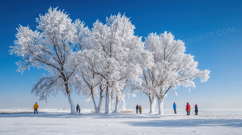 冬季旅游胜地吉林雾凇岛雪景景观图片