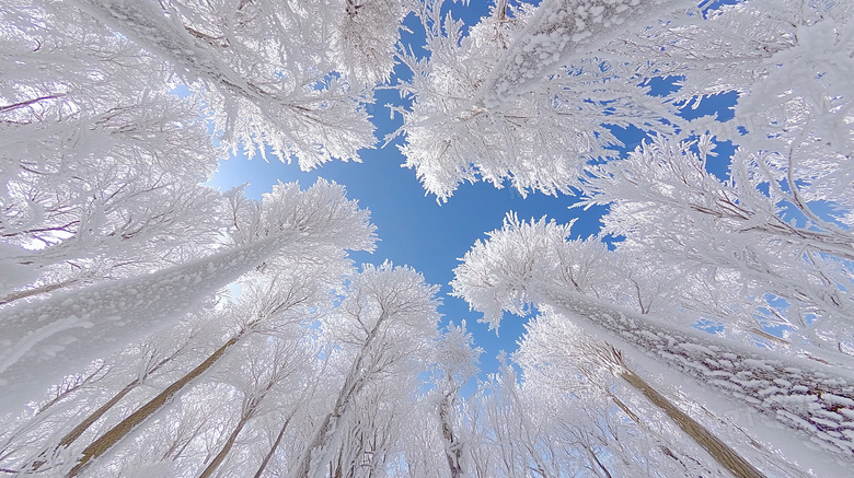 冬季旅游胜地吉林雾凇岛雪景景观图片