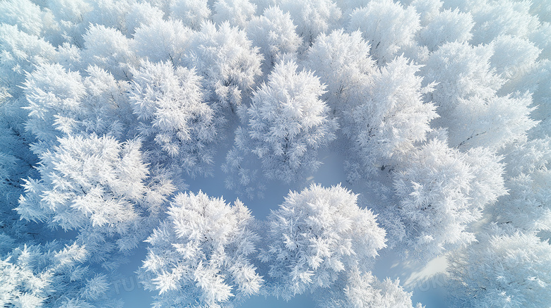 冬季旅游胜地吉林雾凇岛雪景景观图片