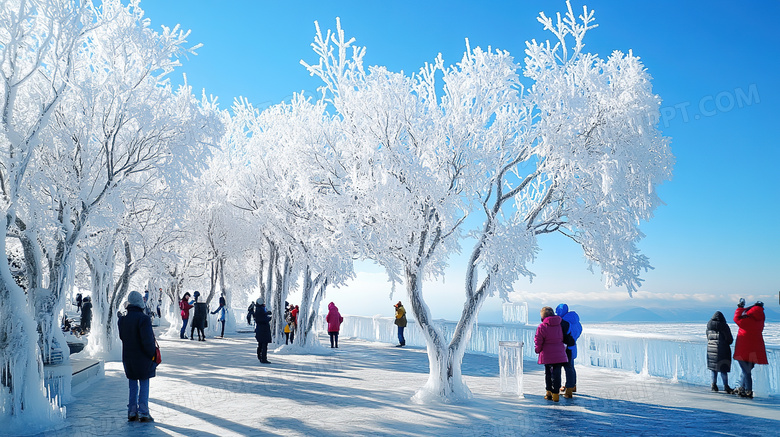 冬季旅游胜地吉林雾凇岛雪景景观图片