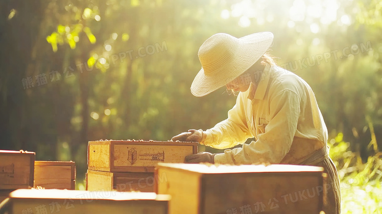 养蜂人正在养蜂场工作图片