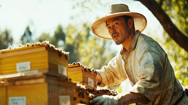 养蜂人正在养蜂场工作图片