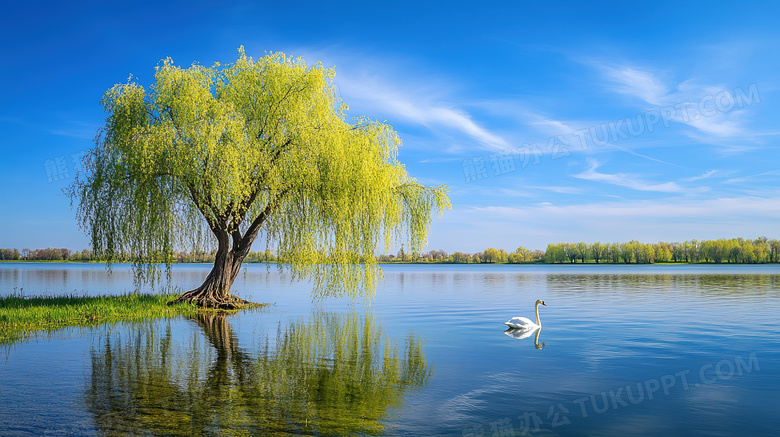 桌面壁纸自然风景湖泊大树图片