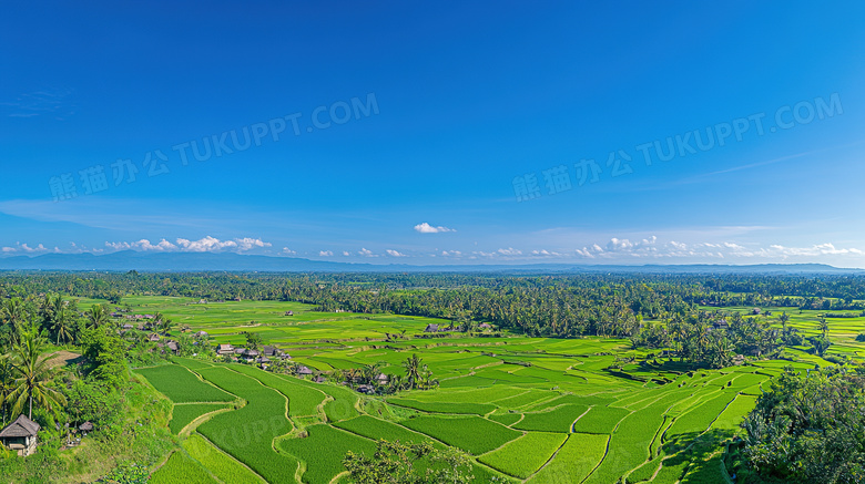 田园风光稻田风景图片