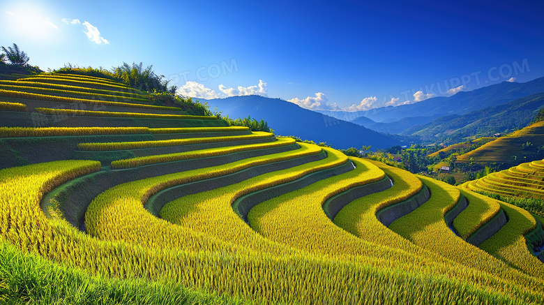 田园风光稻田梯田风景图片