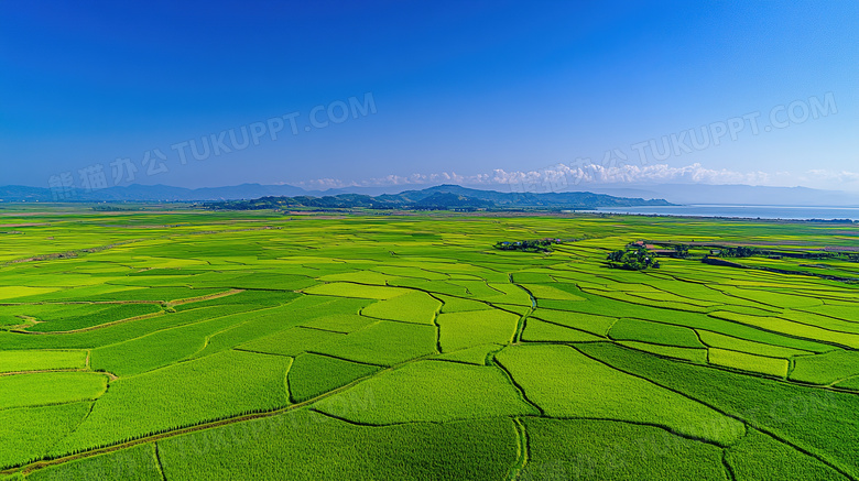 田园风光稻田风景图片