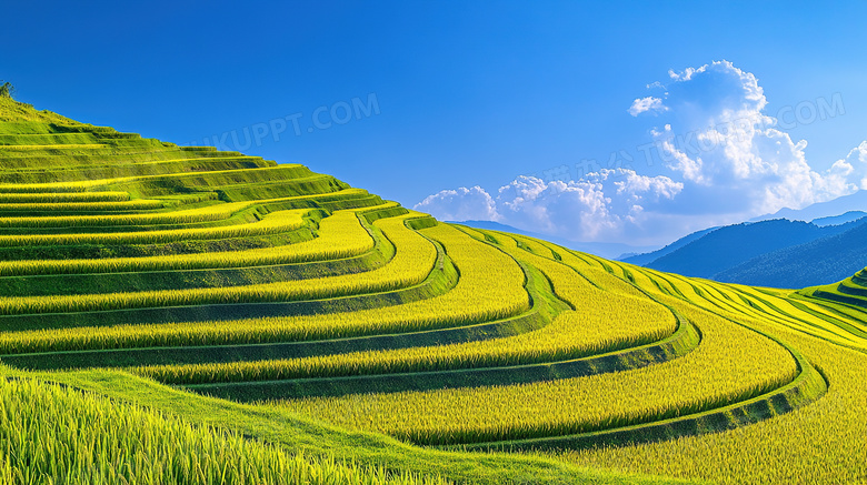 田园风光稻田梯田风景图片