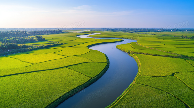 田园风光稻田风景图片