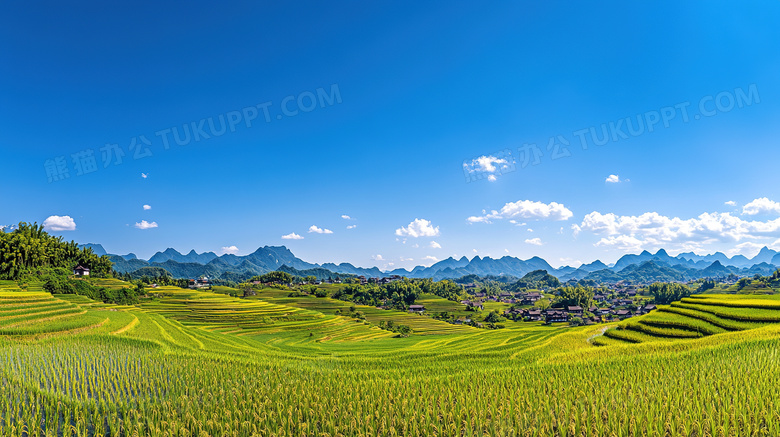 田园风光稻田风景图片